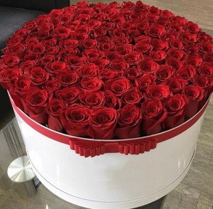 Create meme: 50 red roses in a box, a bouquet of roses in a box, roses in box