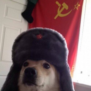 Создать мем: doge, собакен, comrade doggo