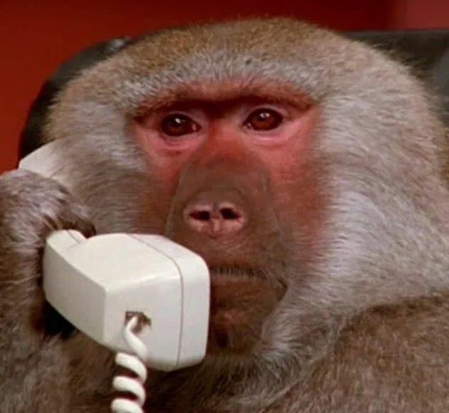 Create meme: monkeys with a phone, monkey with an iphone, meme of a monkey with a phone