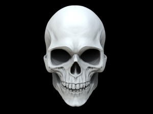 Create meme: skull, skull No. 176, white skull