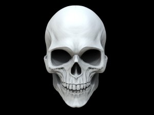 Создать мем: skull, череп № 176, белый череп