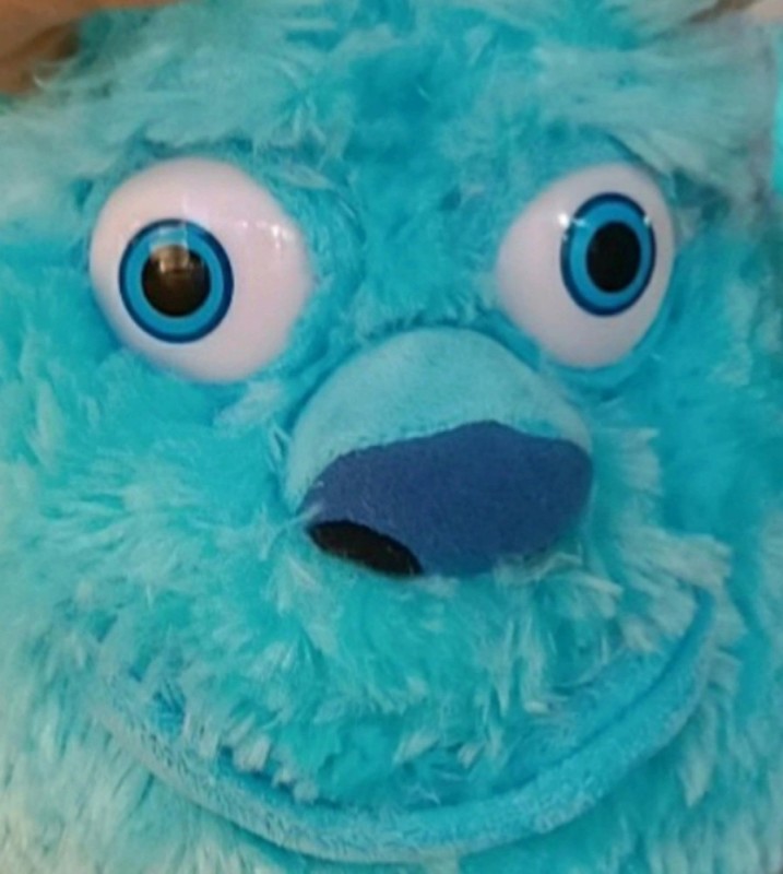 Create meme: soft toy sally monster corporation, soft toy Sally monster corporation, 60 cm, toy 