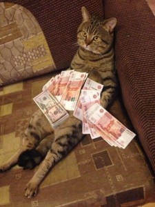 Создать мем: кот с деньгами