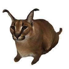 Create meme: Caracal, spanking on a transparent background cat, big spanking cat