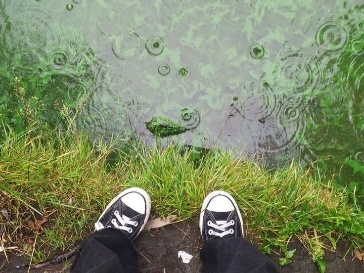 Create meme: feet , ponds, summer