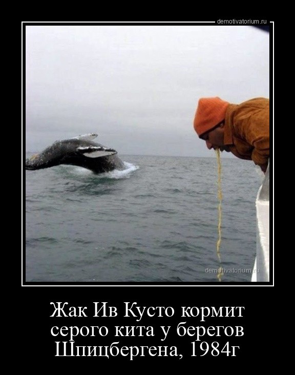 Create meme: The whale is a joke, whale vomiting, Cousteau Jacques yves