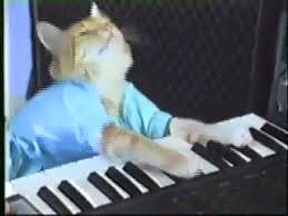 Create meme: piano funny gif, cat playing piano meme, gif cat on the piano