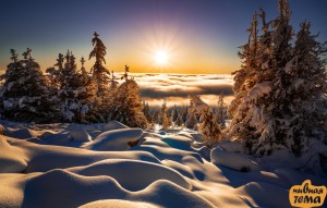 Create meme: winter sun, winter landscape, winter nature