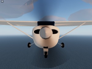 Создать мем: real flight simulator, реал флигхт симулятор, авиасимулятор