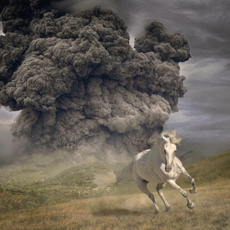 Create meme: the white buffalo, the whitestripes, The eruption of Mauna Loa volcano