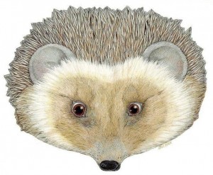 Create meme: hedgehog pattern, hedgehog pattern