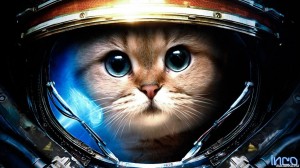 Create meme: cats astronauts, cats astronauts, cat in space pictures