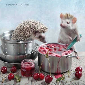 Create meme: Elena Eremina hedgehogs 2018, actress Elena Eremina, hedgehogs Eremina