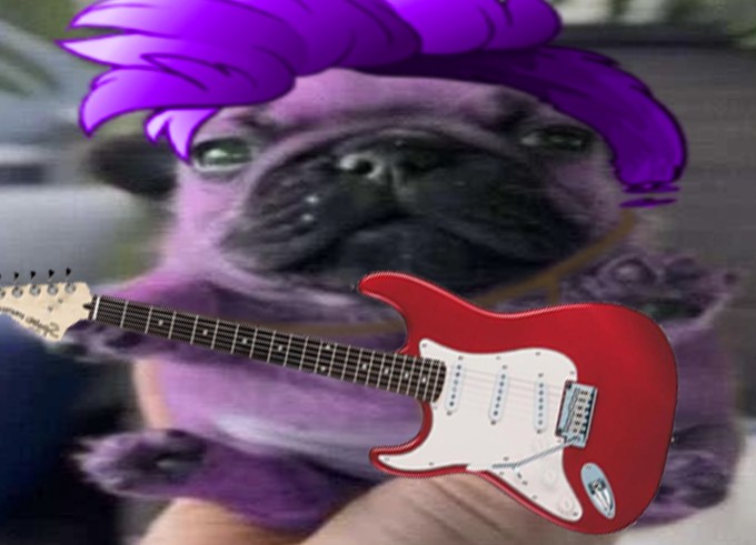Создать мем: мопс, собака гитарист, прикол