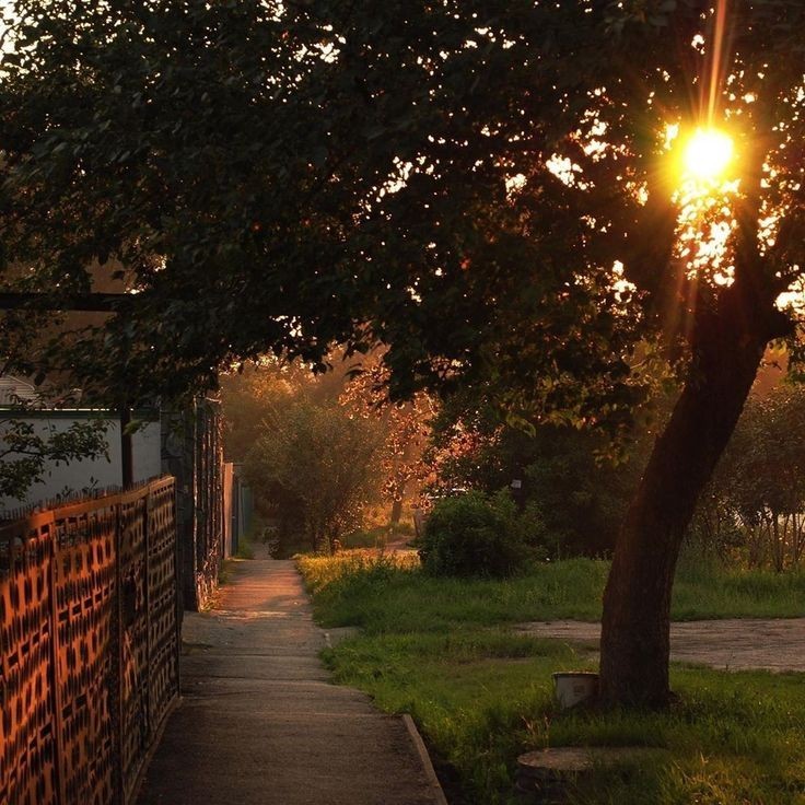 Create meme: evening , a summer evening in the city, sunset park