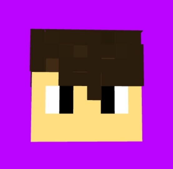 Create meme: boy , paradix minecraft face, skin