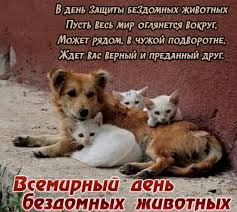 Create meme: day of homeless animals, international day of homeless animals, World Day for the Protection of Homeless Animals