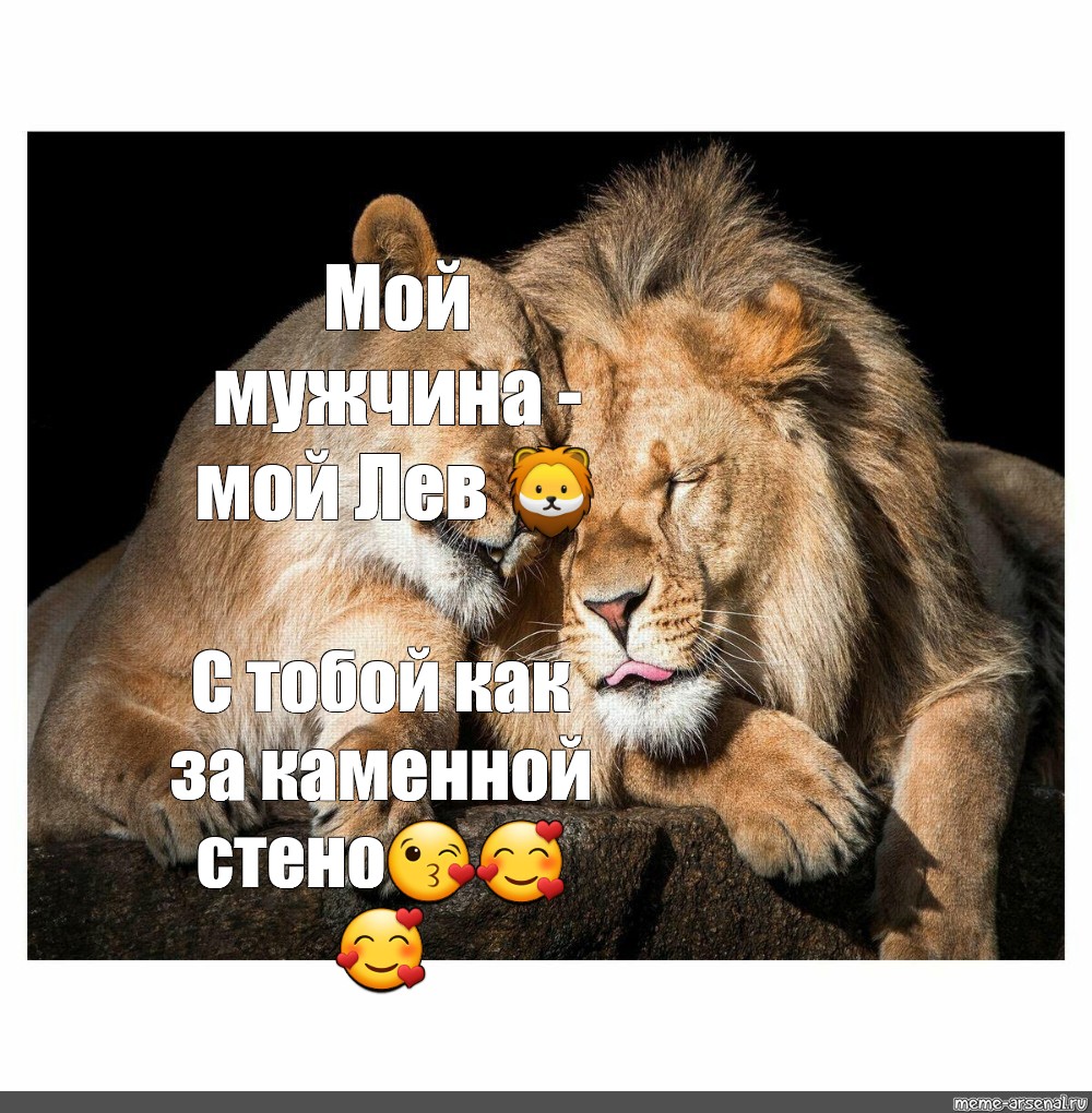 Ты мой лев картинки мужчине