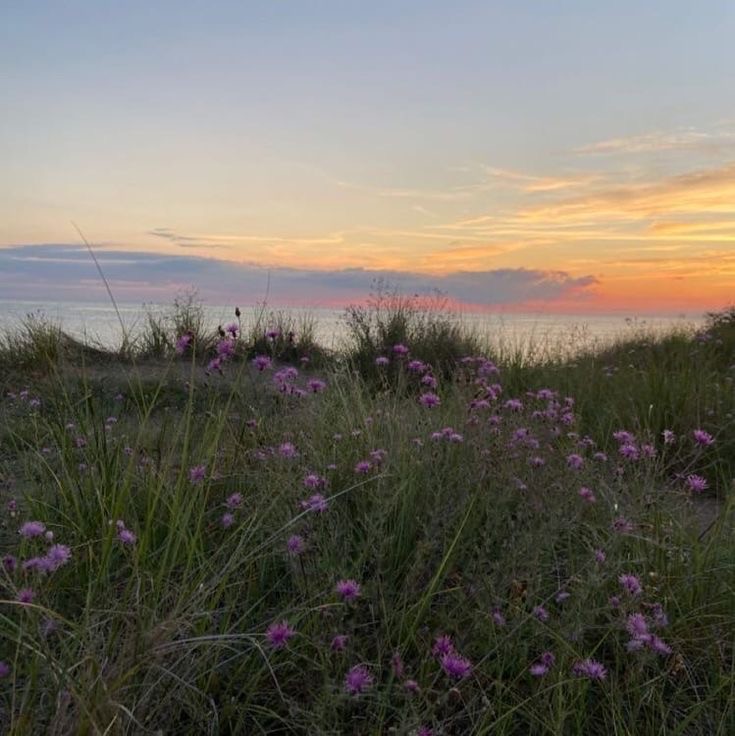 Create meme: nature field , landscape , sky sunset