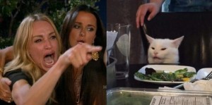 Создать мем: crying woman and cat meme, кошки, кот за столом мем