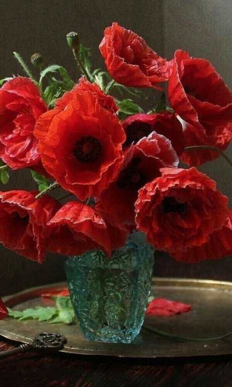 Create meme: bouquet of poppies, flowers still life, poppy flower