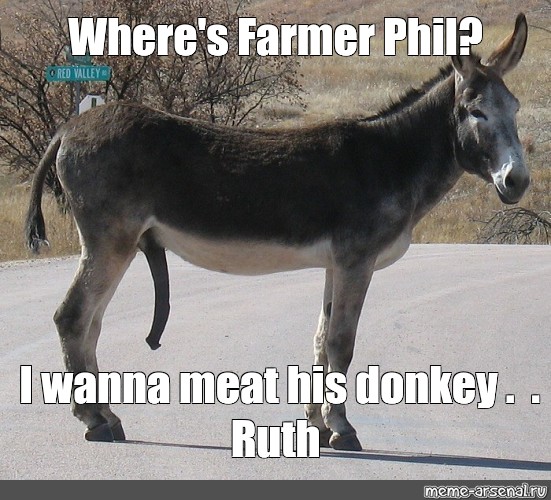 Meme Where S Farmer Phil I Wanna Meat His Donkey Ruth All