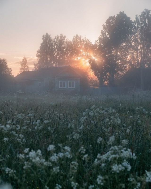 Create meme: foggy morning in the village, morning landscape gerasimov village, village morning