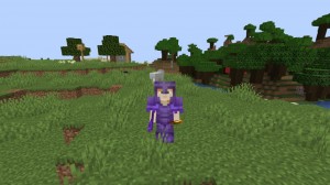 Create meme: minecraft survival, mods for minecraft, minecraft