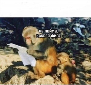 Create meme: I don't know how to do the monkey, monkey, humor