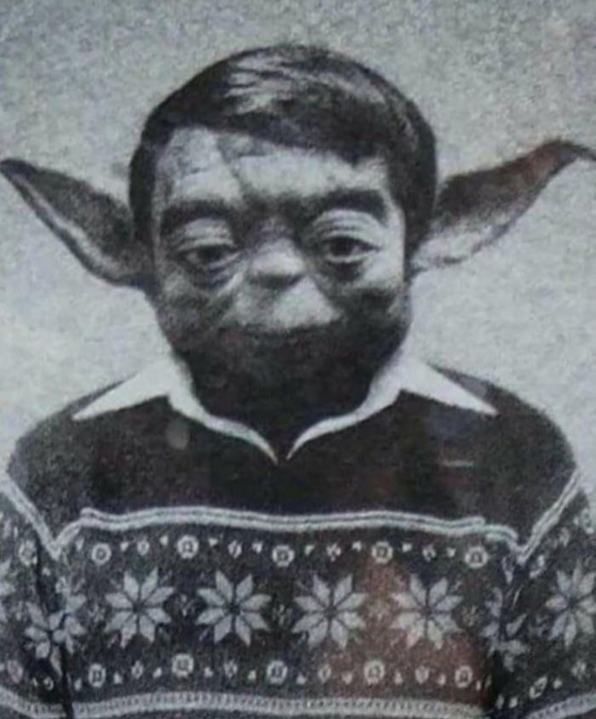 Create meme: Yoda in a sweater, Yoda is small, iodine 