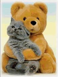 Create meme: Bear and kitten