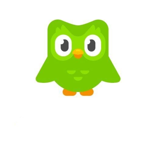 Create meme: owl duolingo, duolingo duo, owl duolingo