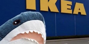 Create meme: the shark is from ikea, shark IKEA, shark Blaha IKEA