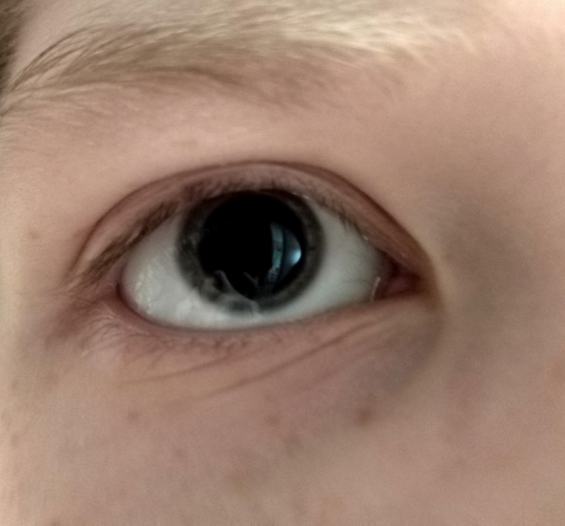 Create meme: eye color, white pupil, gray eye color