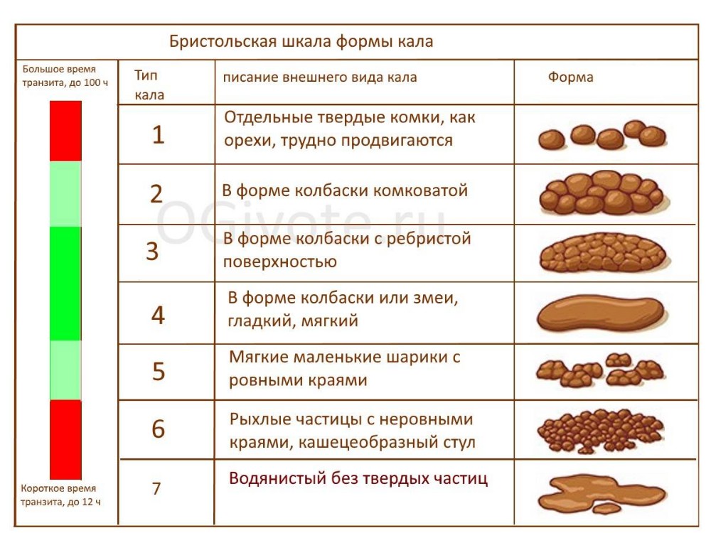 Классификация стула бристольская шкала