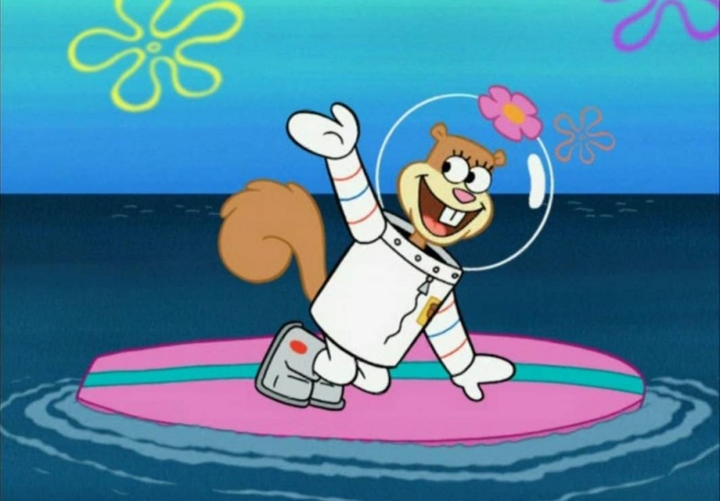 Create meme: sandy spongebob, Sandy from spongebob, sandy