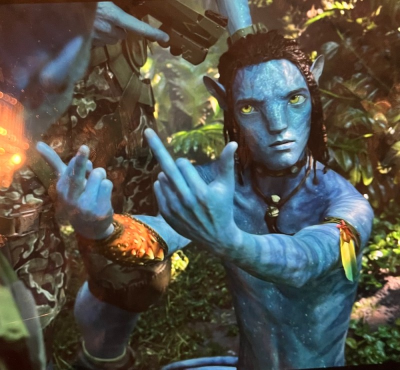 Create meme: avatar jake sully, avatar avatar, avatar world Anya