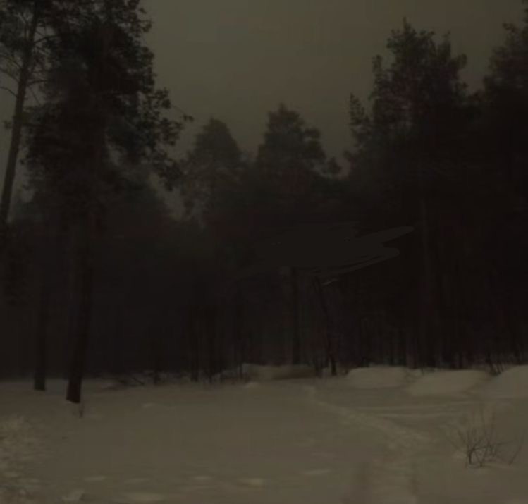 Create meme: dark forest, darkness, winter forest 