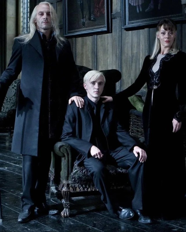 Create meme: Harry Potter Lucius Malfoy, malfoy harry Potter, friends of malfoy from harry Potter