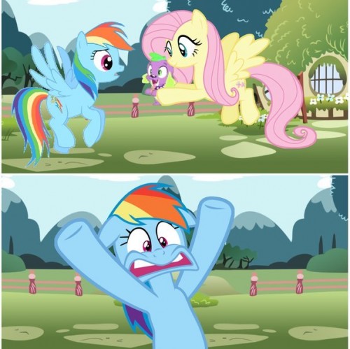 Create meme rainbow dash, flutterdash, little pony - Pictures