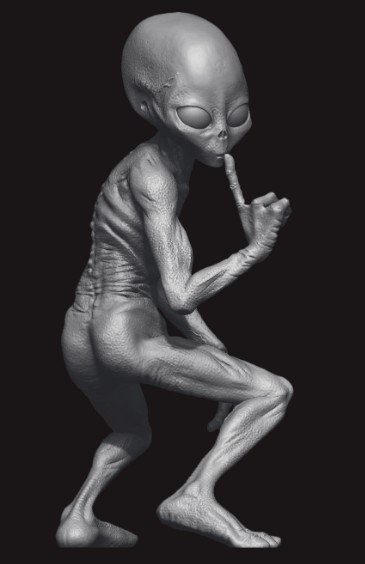 Create meme: aliens , Portrait of an alien, grey aliens