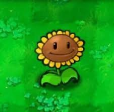 Create meme: plants vs zombies sunflower ghoul, sunflower plants vs zombies 1, plants from the game plants vs zombies