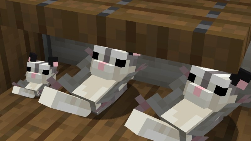 Create meme: minecraft cat, jelly minecraft cat, the cat from minecraft