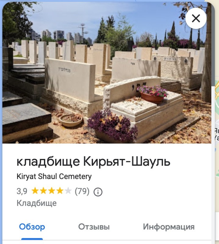 Create meme: cemetery , the Jewish cemetery, old cemetery