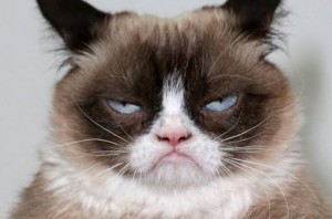 Grumpy Cat Create Meme Meme Arsenal Com - oddawaj robuxy grumpy cat meme generator