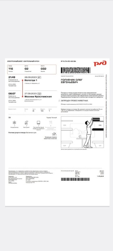 Создать мем: посадочный купон электронного билета ржд, электронный билет ржд 2021, электронный билет на поезд ржд образец