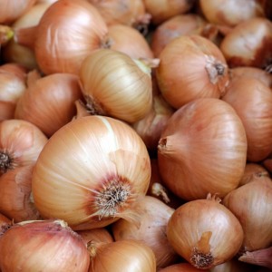 Create meme: Tsibulya, onion, bow