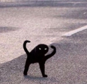 Создать мем: Ухх сука, открытый люк на дороге, мем с черным котом