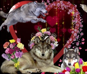 Create meme: animals wolf, picmix, wolf