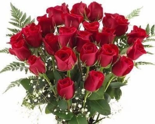 Создать мем: букет красных роз, цветы красивые розы, букет цветов красивый
